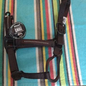 Small HORSE HALTER NYLON LEATHER STUDS. 500-800 lb